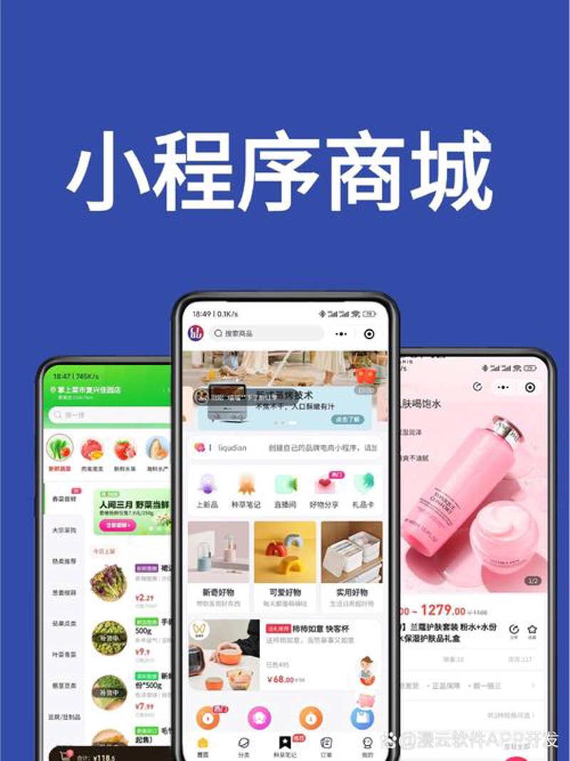 洞察软件开发公司的最新动向